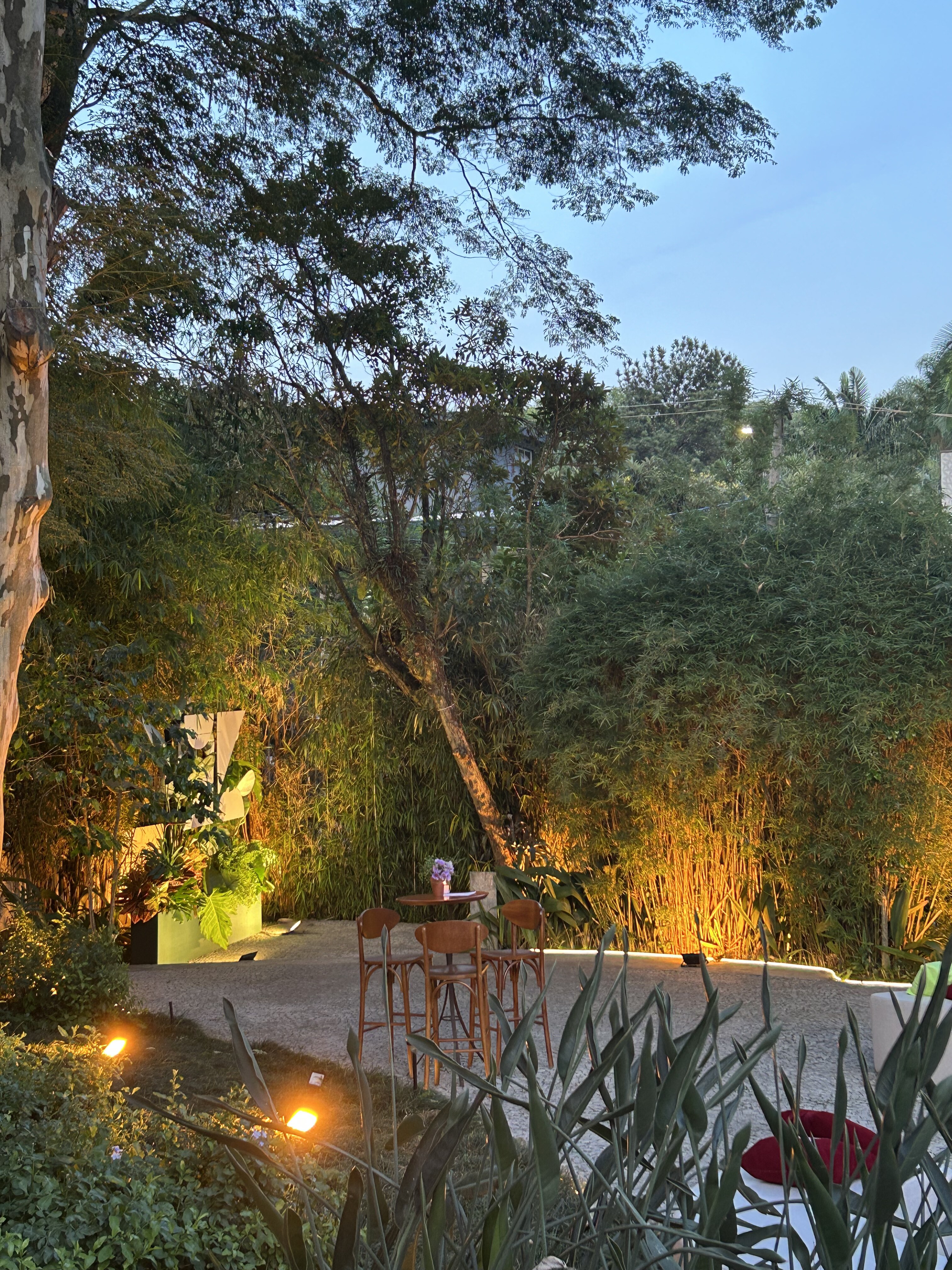 Vista da entrada com vegetação e árvores ao redor da casa